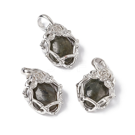 Natural Labradorite Pendants G-P484-03P-06-1