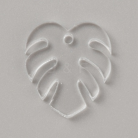 Acrylic Pendants TACR-WH0025-04B-1