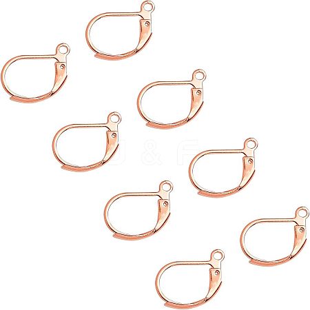 Unicraftale 304 Stainless Steel Leverback Earring Findings STAS-UN0001-67RG-1