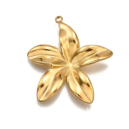 304 Stainless Steel Pendants STAS-M116-03G-1