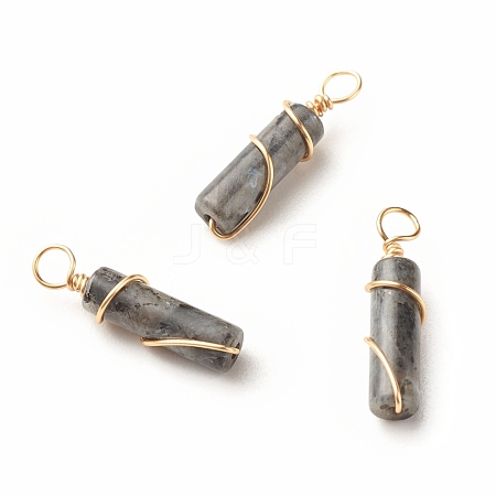 Natural Larvikite Pendants PALLOY-JF01453-05-1