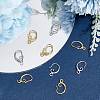 20 Pairs 2 Colors Brass Earring Hooks KK-BC0007-63-4
