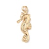 Alloy Pendants FIND-Z101-04G-05-1