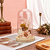 Arch Glass Dome Cover AJEW-WH0596-866B-02-4