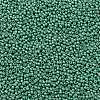 TOHO Round Seed Beads X-SEED-TR11-0561F-2