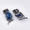 Natural Agate Brooches/Pendants G-S353-05C-2