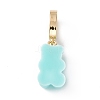 Opaque Resin Pendants RESI-E020-01G-05-3