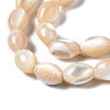 Natural Trochid Shell/Trochus Shell Beads Strands X-SSHEL-S266-021B-02-3