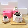 Olycraft Food Grade DIY Silicone Flowerpot Molds DIY-OC0002-44-4