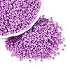 Glass Seed Beads SEED-A011-3mm-150-1