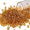 TOHO 6/0 Round Beads X-SEED-TR06-0022B-1