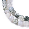 Natural Tree Agate Beads Strands G-L533-22-2