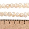 Natural Cultured Freshwater Pearl Beads Strands PEAR-L034-12F-5