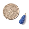 Natural Strawberry Quartz & Apatite & Lapis Lazuli & Lepidolite/Purple Mica Stone Pendants PALLOY-JF04925-2