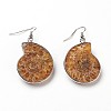 Fossil Spiral Dangle Earrings EJEW-P153-01-3