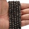 Natural Coffee Jasper Beads Strands G-Z111-A52-2