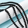 Natural Black Onyx Beads Strands G-Z024-02C-4