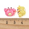 Opaque Resin Sea Animal Decoden Cabochons CRES-I035-15-3