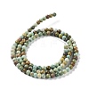 Natural HuBei Turquoise Beads Strands G-M411-A01-01-2