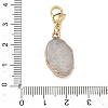 Natural Gemstone Pendant Decorations HJEW-PH01916-01-3