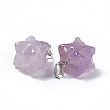 Natural Amethyst Pendants G-C002-02H-4