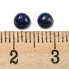 Natural Lapis Lazuli Cabochons G-H309-03-42-3