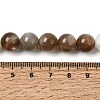 Natural Multi-Moonstone Beads Strands G-J157-10mm-01-5