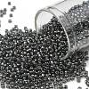 TOHO Round Seed Beads SEED-JPTR11-0282-1