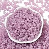 Transparent Colours Glass Seed Beads SEED-R001-01T-3