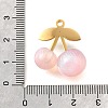 304 Stainless Steel Acrylic Pendants X1-STAS-E549-01G-03-3
