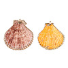 Electroplate Multicolor Sea Shell Pendants X-SSHEL-S262-31-2