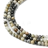 Natural Silver Leaf Jasper Beads Strands G-K365-C05-01-4