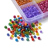 288G 24 Styles Glass Seed Beads SEED-FS0001-26D-3