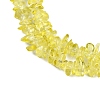 Transparent Glass Beads Strands GLAA-Z009-01C-3