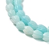 Synthetic Shell Dyed Carved Beads Strands SHEL-K007-08A-02-3