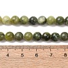 Natural Gemstone Beads GSR6mmC032-12