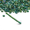 Two Cut Glass Seed Beads CSDB167B-4
