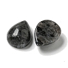 Natural Larvikite Cabochons G-Q173-02C-05-2