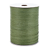 BENECREAT Flat Raffia Paper Ribbon OCOR-BC0006-20C-1