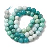 Gradient Natural Amazonite Beads Strands GG-CBA54CC-C01-8mm-3