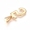 304 Stainless Steel Pendants STAS-L210-05I-G-2