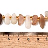 Natural Moonstone Beads Strands G-Z091-A14-5