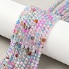 Natural Agate Beads Strands X-G-E469-12V-1