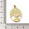 Rack Plating Brass with Cubic Zirconia Pendants KK-Z086-11G-02-3