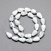 Natural Howlite Gemstone Bead Strands X-G-T004-19-2