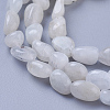 Natural White Moonstone Beads Strands G-P433-16-3