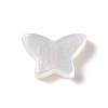 Natural White Shell Beads BSHE-G031-05-1