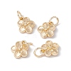 Rack Plating Alloy Charms X-FIND-G036-02LG-3