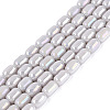Electroplate Opaque Glass Beads Strands EGLA-Q132-03A-C01-1