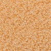 MIYUKI Round Rocailles Beads X-SEED-G007-RR0202-3